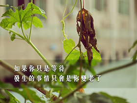 商业银行有多种不同业务，下列属于银行资产业务的是