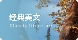 下列属于税收效率类原则的有