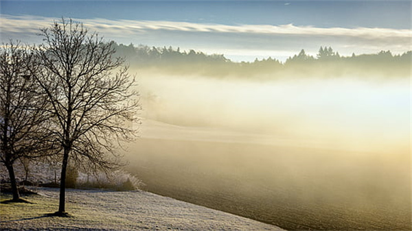 戴维斯等学者指出,企业目标可分为主要目标、并行目标、次要目标。其中,()由企业性质决定,是贡献给顾客的目标。<br>